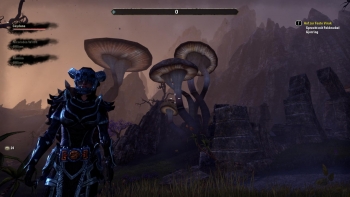 The Elder Scrolls Online Screenshot